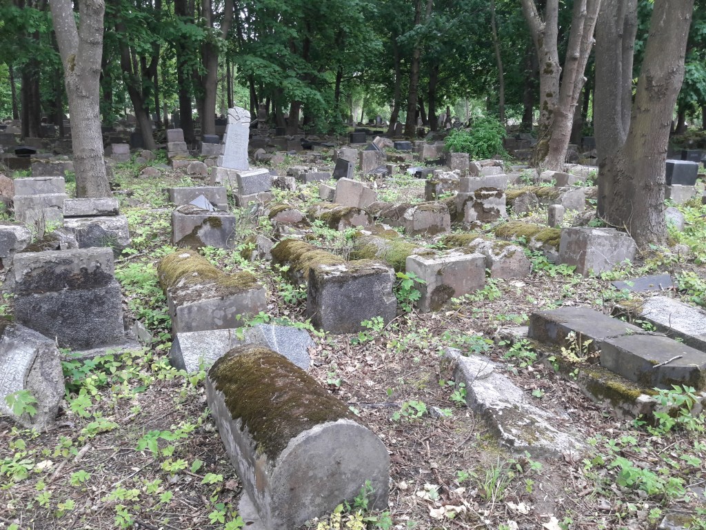 Kauno Žaliakalnio žydų kapinės