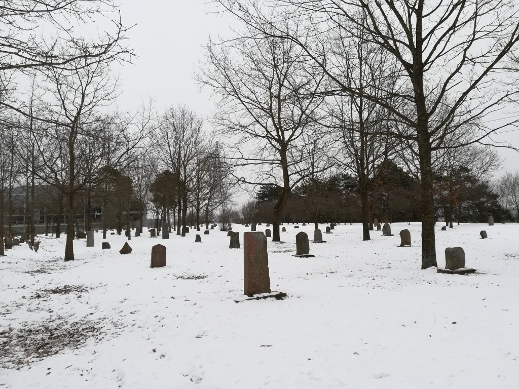 Jonavos senosios žydų kapinės