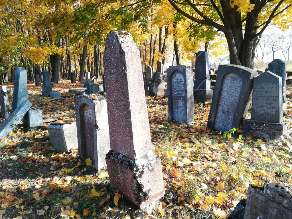 Vilkaviškio senosios žydų kapinės