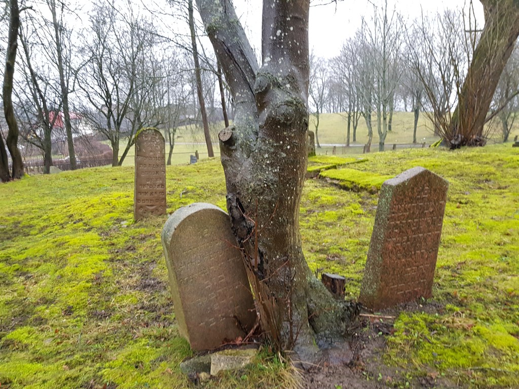 Macevos Telšių žydų kapinėse