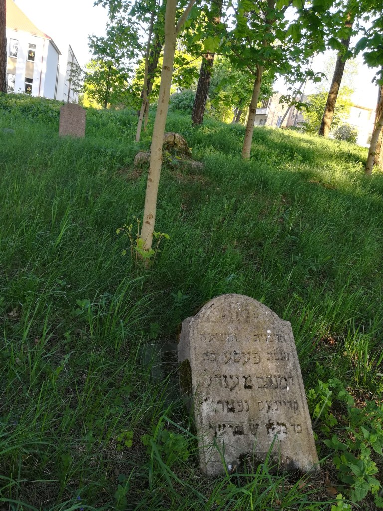 Maceva Želvos žydų kapinėse