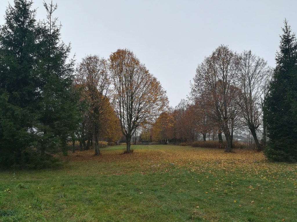 Eišiškių žydų senųjų kapinių komplekso vieta