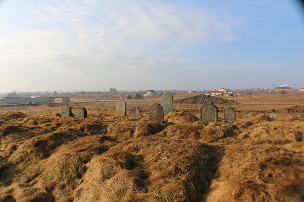 Molėtų žydų kapinės