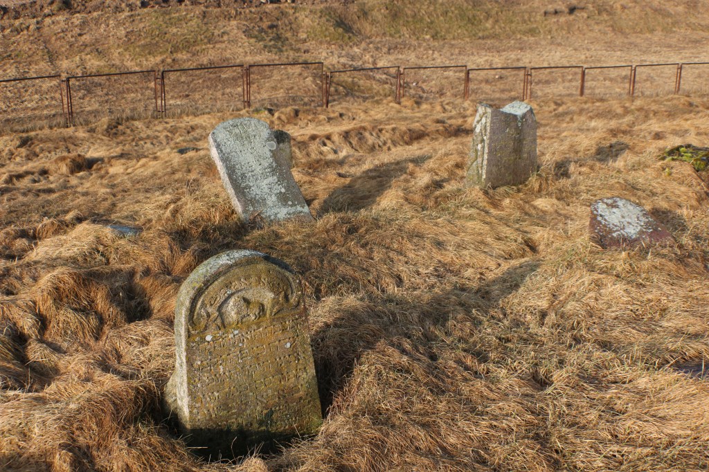 Molėtų žydų kapinės