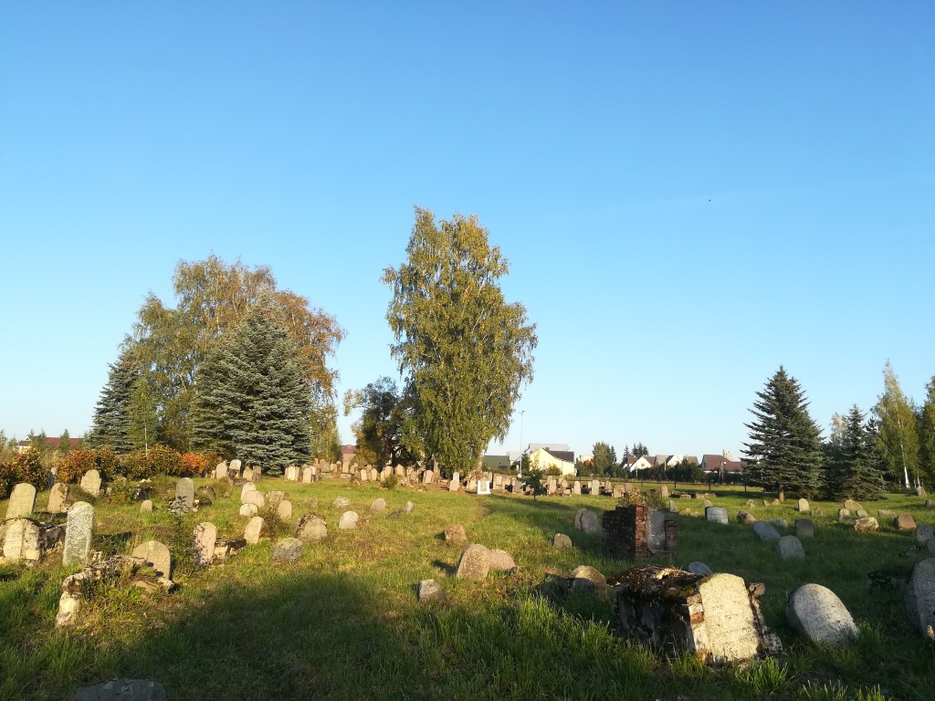 Rokiškio žydų kapinės