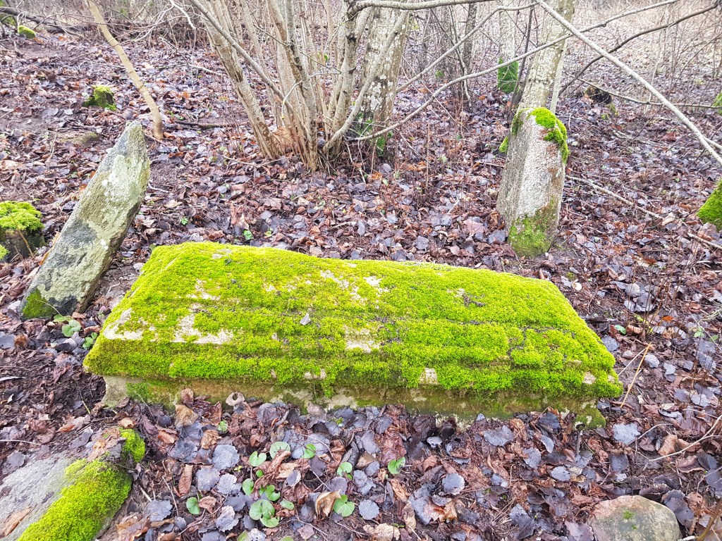 Ariogalos žydų kapinės