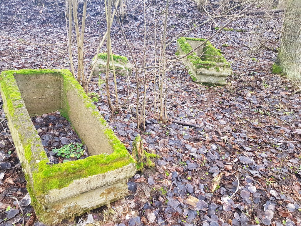 Ariogalos žydų kapinės