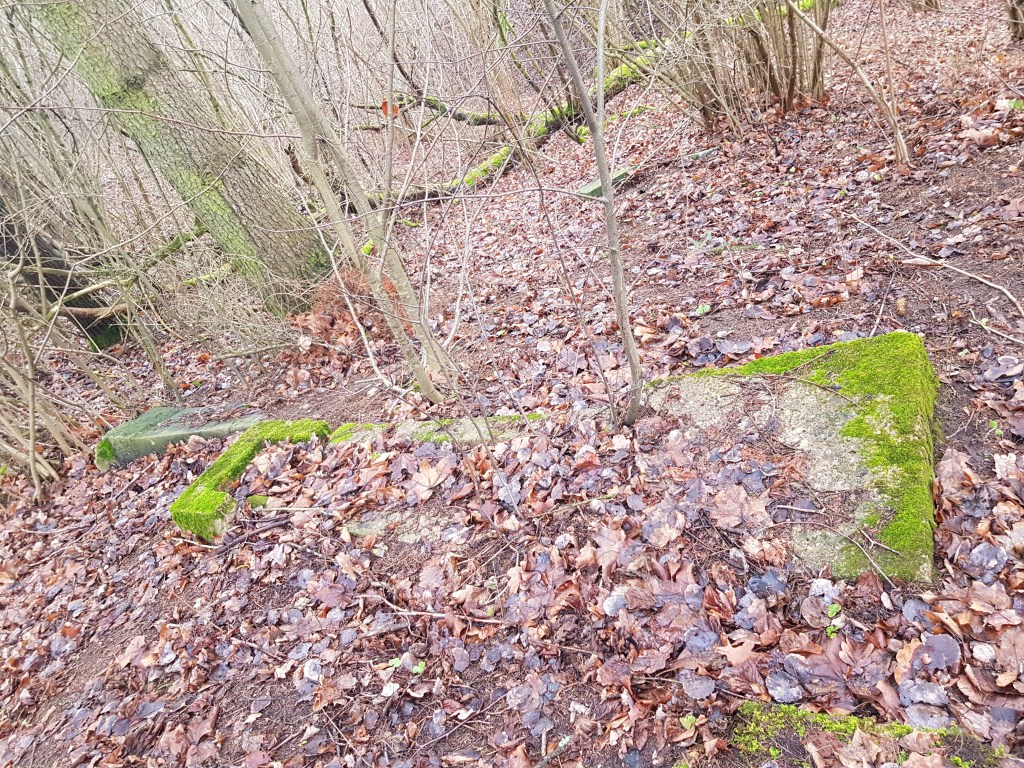 Ariogalos žydų kapinės