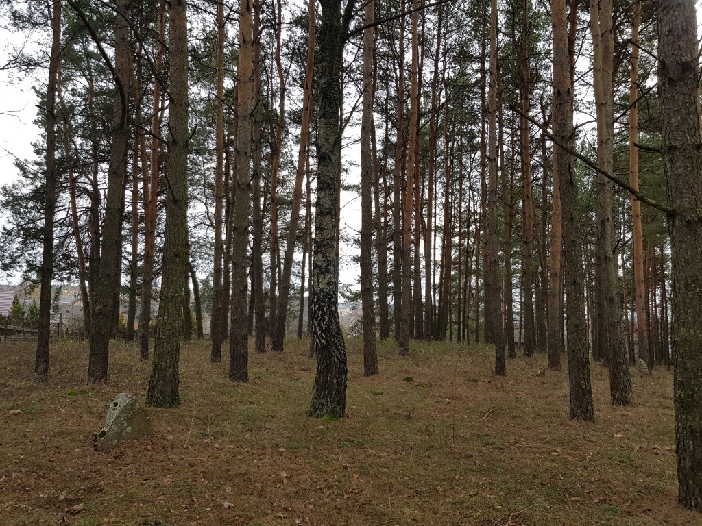 Veisiejų žydų kapinės