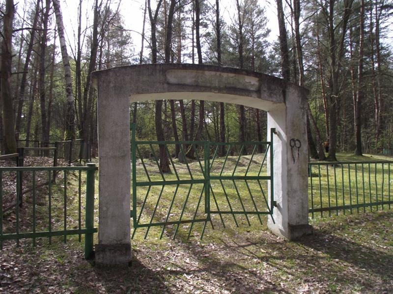 Naujamiesčio karaimų-žydų kapinės (Kultūros paveldo departamento nuotrauka)