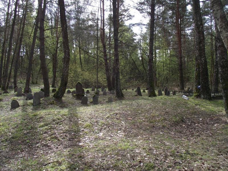 Naujamiesčio karaimų-žydų kapinės (Kultūros paveldo departamento nuotrauka)