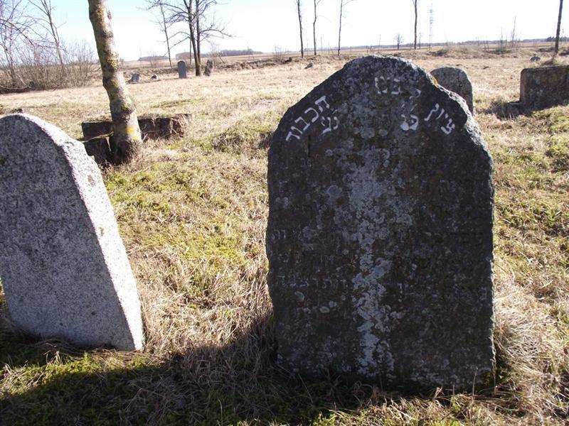 Vaškų žydų kapines (Kultūros paveldo departamento nuotrauka)