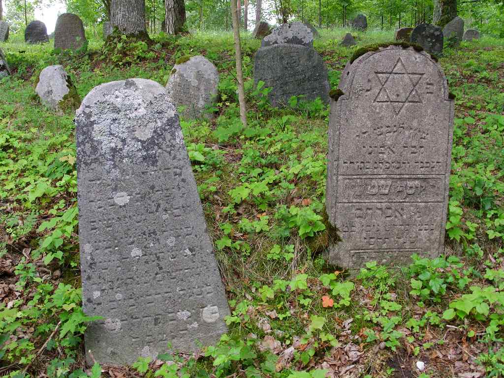 Viešintų žydų kapinės