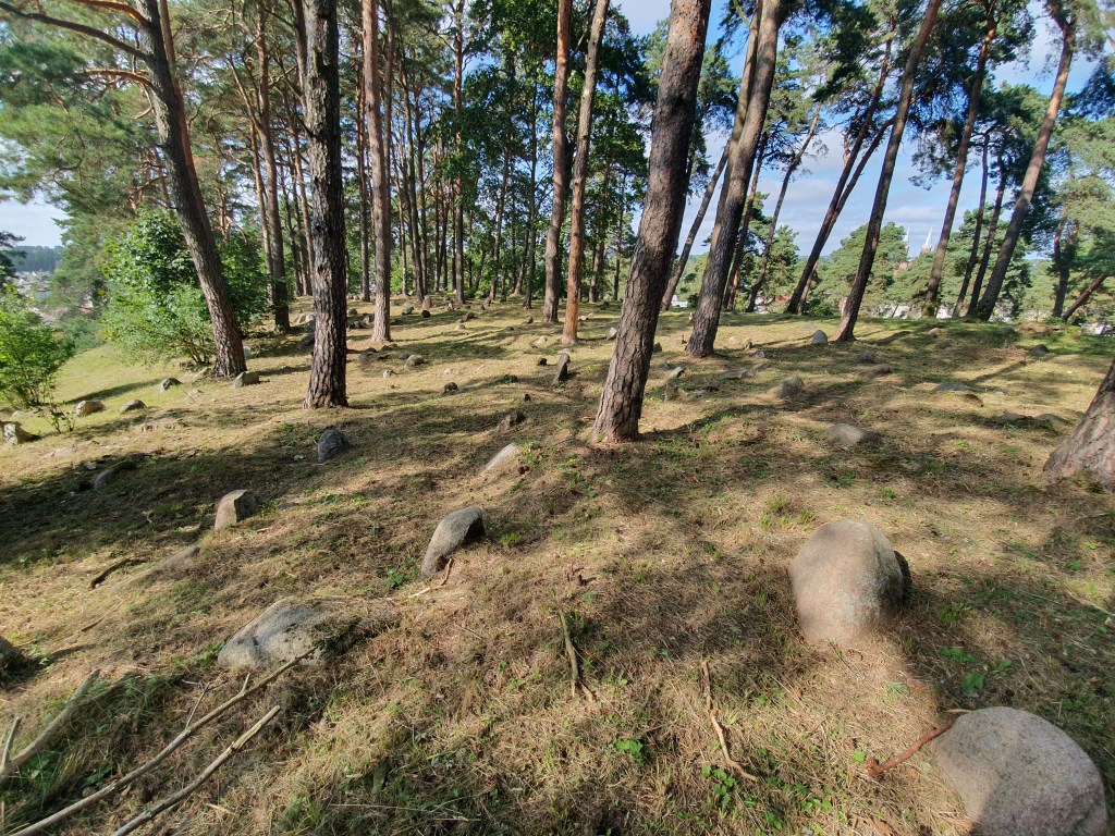 Anykščių žydų kapinės