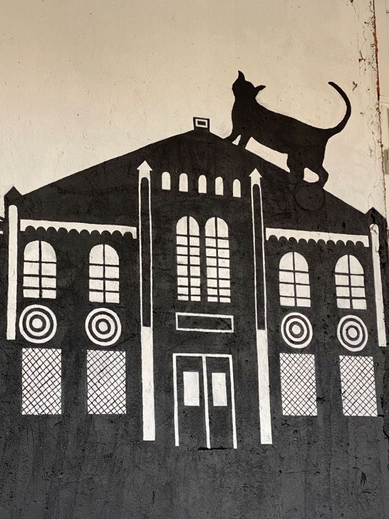 Street art, cat and the synagogue